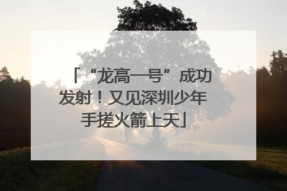 “龙高一号”成功发射！又见深圳少年手搓火箭上天