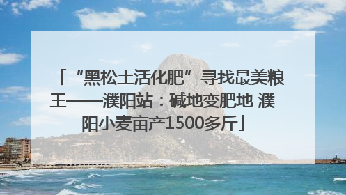 “黑松土活化肥”寻找最美粮王——濮阳站：碱地变肥地 濮阳小麦亩产1500多斤