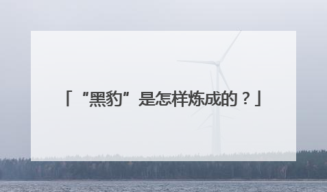 “黑豹”是怎样炼成的？