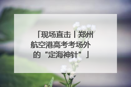 现场直击丨郑州航空港高考考场外的“定海神针”