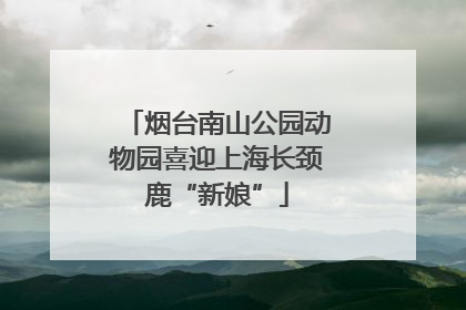 烟台南山公园动物园喜迎上海长颈鹿“新娘”
