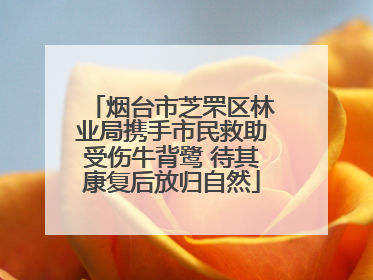 烟台市芝罘区林业局携手市民救助受伤牛背鹭 待其康复后放归自然