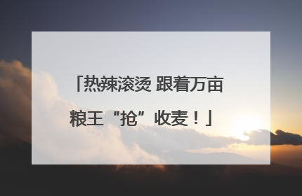 热辣滚烫 跟着万亩粮王“抢”收麦！