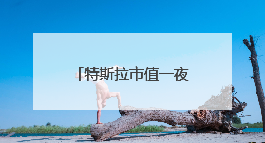 特斯拉市值一夜大涨4000亿