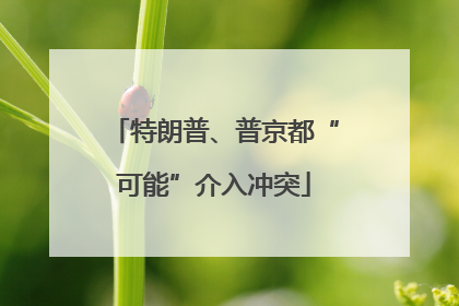 特朗普、普京都“可能”介入冲突