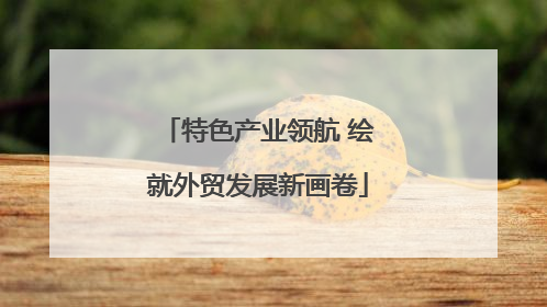 特色产业领航 绘就外贸发展新画卷