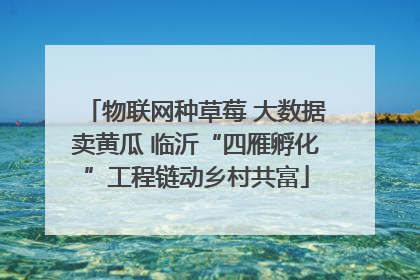 物联网种草莓 大数据卖黄瓜 临沂“四雁孵化”工程链动乡村共富