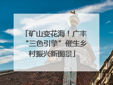 矿山变花海！广丰“三色引擎”催生乡村振兴新图景