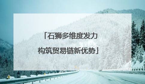 石狮多维度发力 构筑贸易链新优势