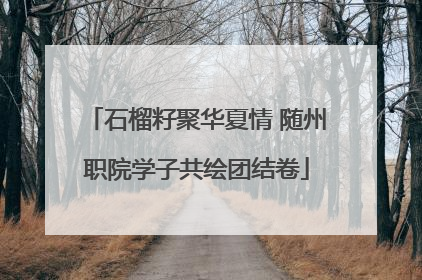 石榴籽聚华夏情 随州职院学子共绘团结卷