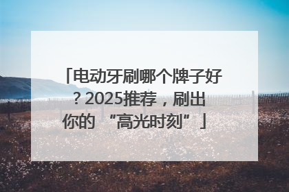 电动牙刷哪个牌子好？2025推荐，刷出你的 “高光时刻”