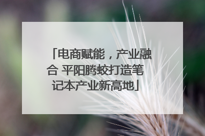 电商赋能，产业融合 平阳腾蛟打造笔记本产业新高地