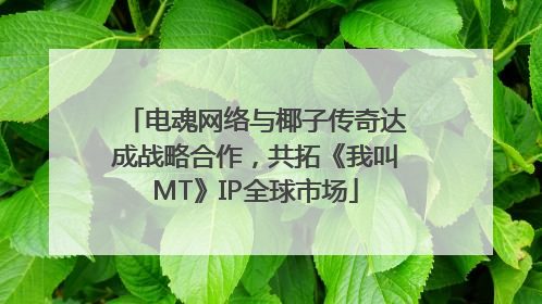 电魂网络与椰子传奇达成战略合作，共拓《我叫MT》IP全球市场