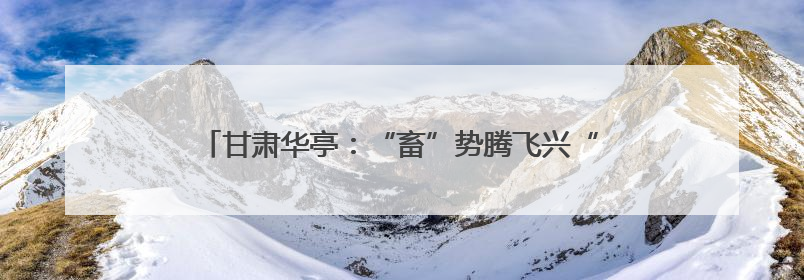 甘肃华亭：“畜”势腾飞兴“牛”业 政策助力添“牛”劲