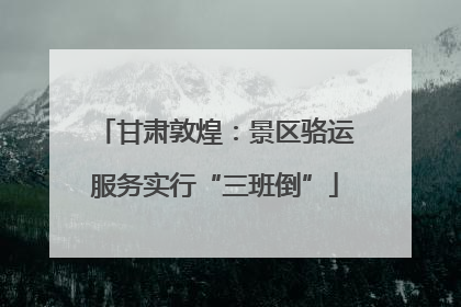 甘肃敦煌：景区骆运服务实行“三班倒”