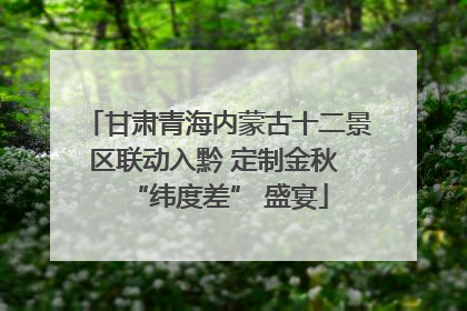 甘肃青海内蒙古十二景区联动入黔 定制金秋 “纬度差” 盛宴