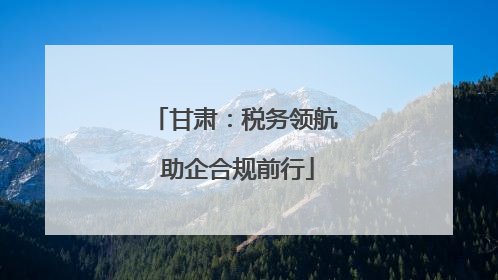 甘肃：税务领航 助企合规前行