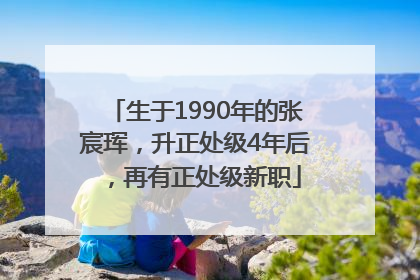 生于1990年的张宸珲，升正处级4年后，再有正处级新职