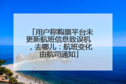 用户称购票平台未更新航班信息致误机，去哪儿：航班变化由航司通知
