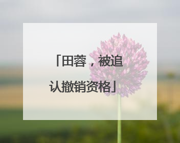田蓉，被追认撤销资格