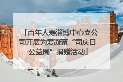 百年人寿淄博中心支公司开展为爱凝聚“司庆日·公益周”捐赠活动