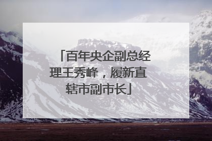 百年央企副总经理王秀峰，履新直辖市副市长