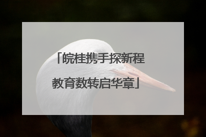 皖桂携手探新程 教育数转启华章