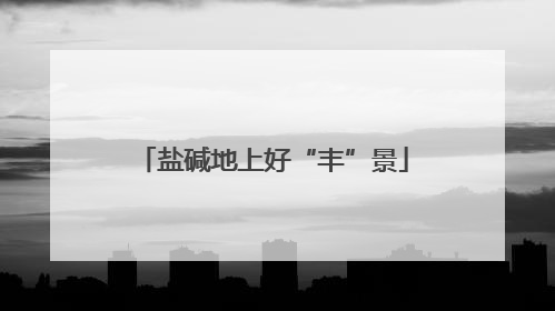 盐碱地上好“丰”景