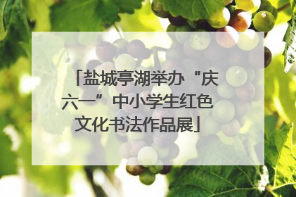 盐城亭湖举办“庆六一”中小学生红色文化书法作品展