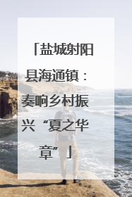 盐城射阳县海通镇：奏响乡村振兴“夏之华章”