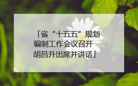 省“十五五”规划编制工作会议召开 胡昌升出席并讲话
