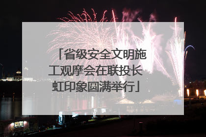 省级安全文明施工观摩会在联投长虹印象圆满举行