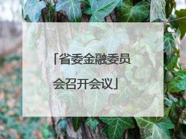 省委金融委员会召开会议