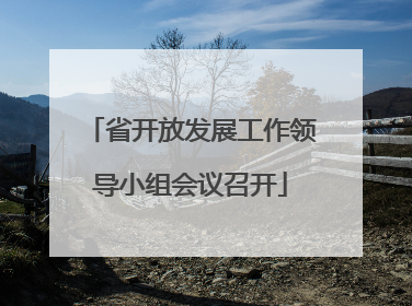 省开放发展工作领导小组会议召开