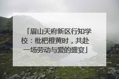 眉山天府新区行知学校：枇杷橙黄时，共赴一场劳动与爱的盛宴