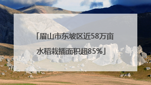 眉山市东坡区近58万亩水稻栽插面积超85%