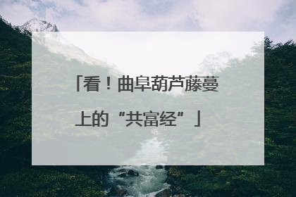 看！曲阜葫芦藤蔓上的“共富经”