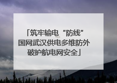 筑牢输电“防线” 国网武汉供电多维防外破护航电网安全