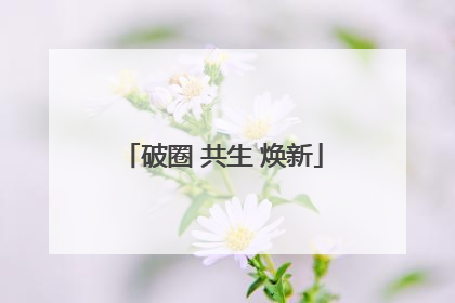 破圈 共生 焕新