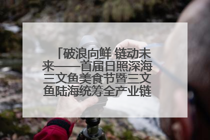 破浪向鲜 链动未来——首届日照深海三文鱼美食节暨三文鱼陆海统筹全产业链发展会议嘉宾访谈