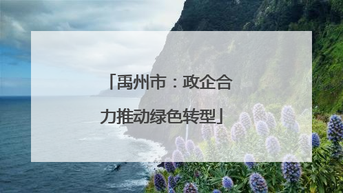 禹州市：政企合力推动绿色转型