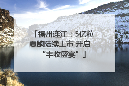 福州连江：5亿粒夏鲍陆续上市 开启“丰收盛宴”