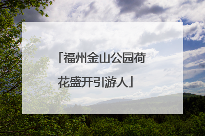 福州金山公园荷花盛开引游人