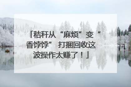 秸秆从“麻烦”变“香饽饽” 打捆回收这波操作太赚了！