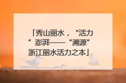 秀山丽水，“活力”澎湃——“溯源”浙江丽水活力之本