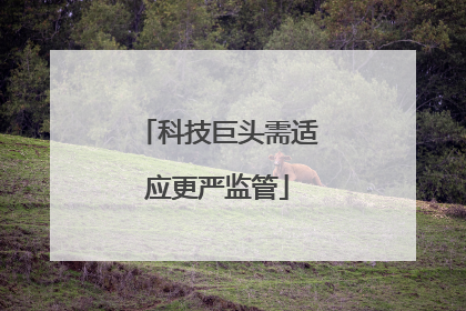 科技巨头需适应更严监管