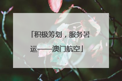 积极筹划，服务暑运——澳门航空