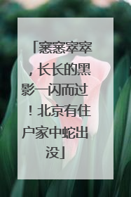 窸窸窣窣，长长的黑影一闪而过！北京有住户家中蛇出没