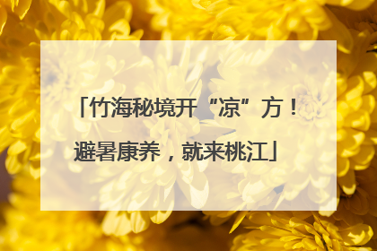 竹海秘境开“凉”方！避暑康养，就来桃江