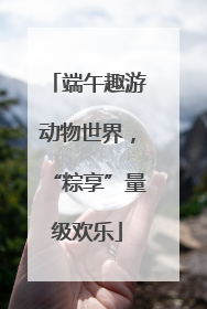 端午趣游动物世界，“粽享”量级欢乐